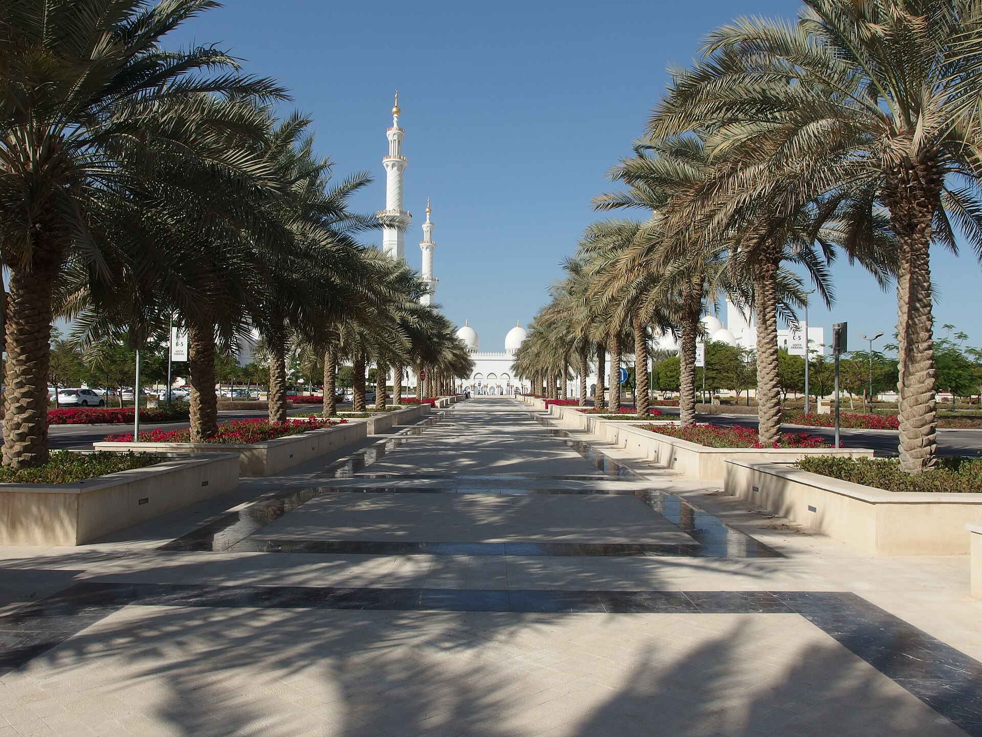 Allén med palmer fram till Sheikh Zayed-moskén i Abu Dhabi